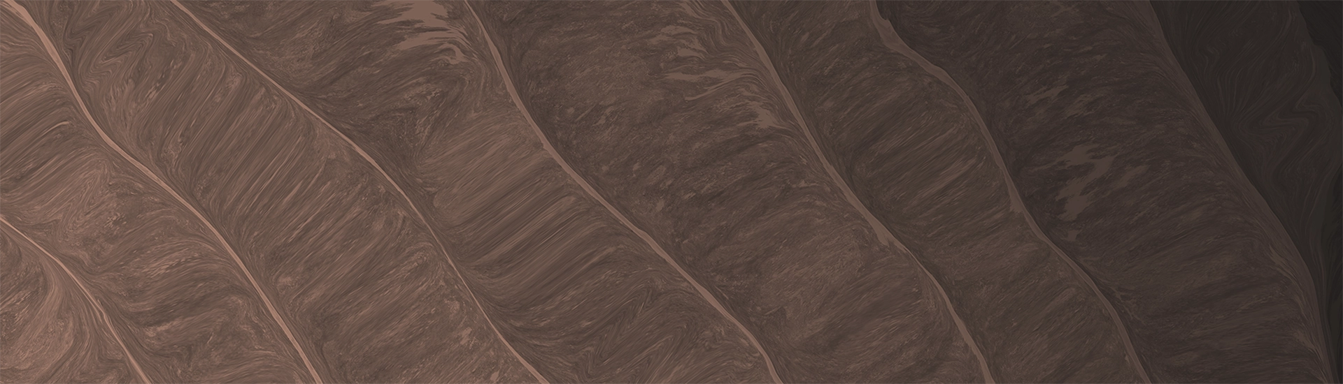https://www.numu-sa.com/assets/images/our_philosophy_banner.webp